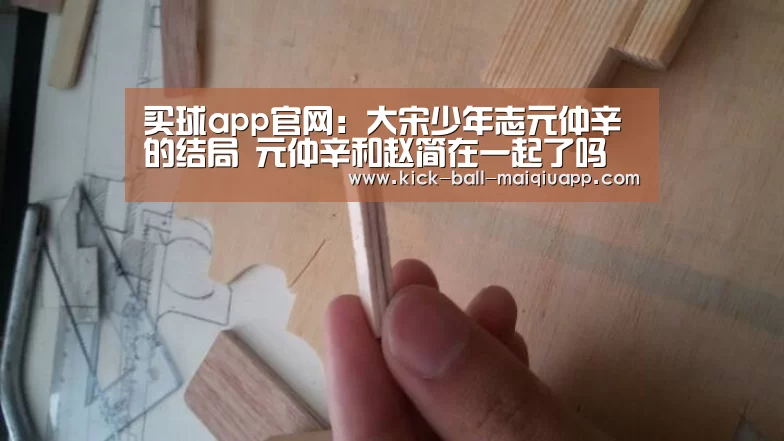 买球app官网:大宋少年志元仲辛的结局 元仲辛和赵简在一起了吗(图3) 买球app官网