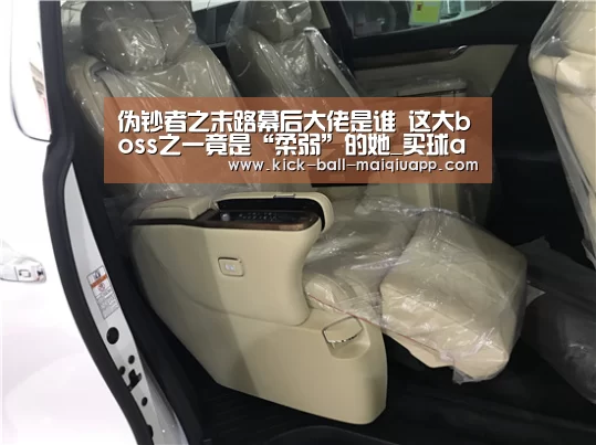 伪钞者之末路幕后大佬是谁 这大boss之一竟是“柔弱”的她_买球app官网(图1) 买球app官网