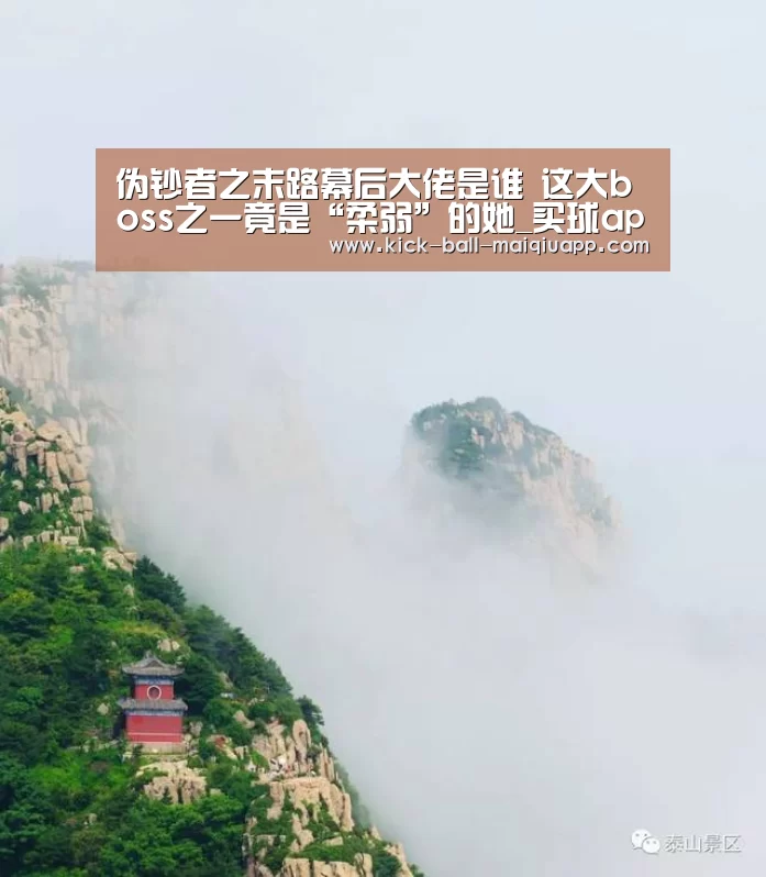 伪钞者之末路幕后大佬是谁 这大boss之一竟是“柔弱”的她_买球app官网(图2) 买球app官网