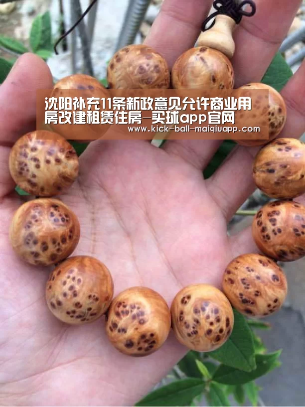 沈阳补充11条新政意见允许商业用房改建租赁住房-买球app官网(图1) 买球app下载