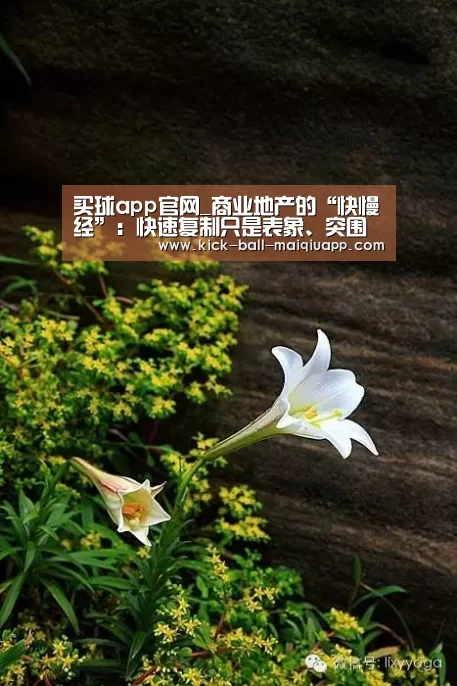 买球app官网